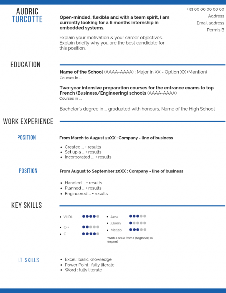 CV en anglais  ELSYS Design