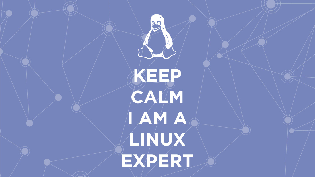 Linux expert job description