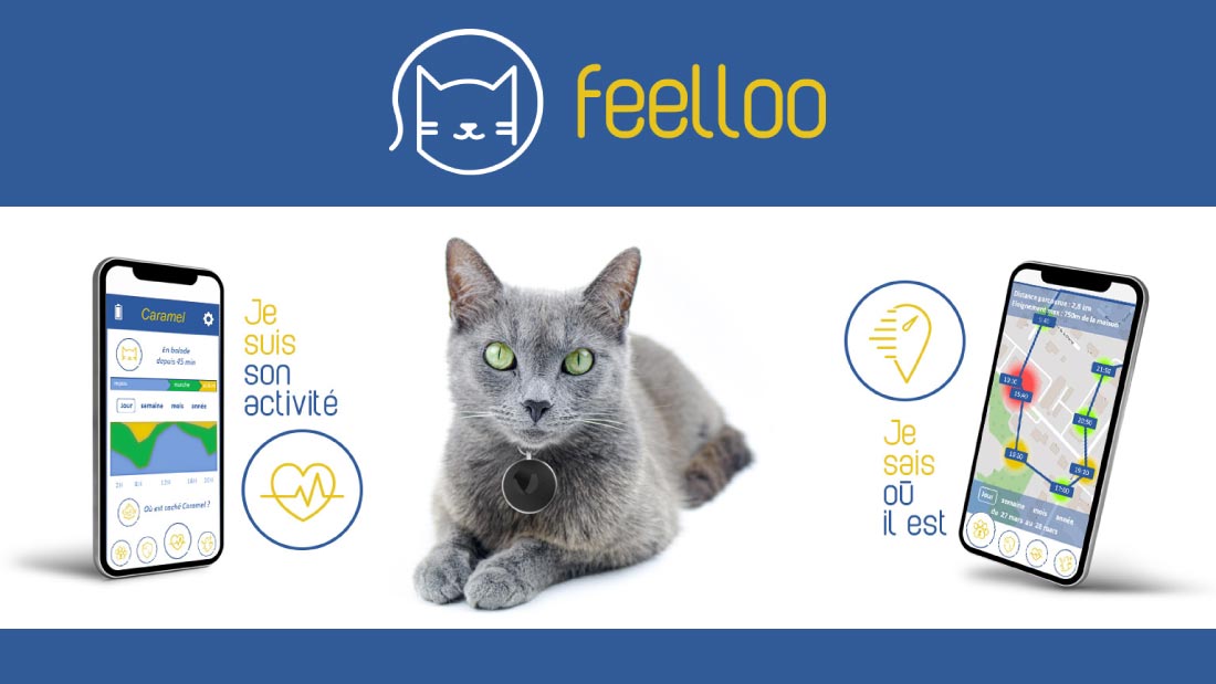 Un médaillon GPS pour chat - ELSYS Design